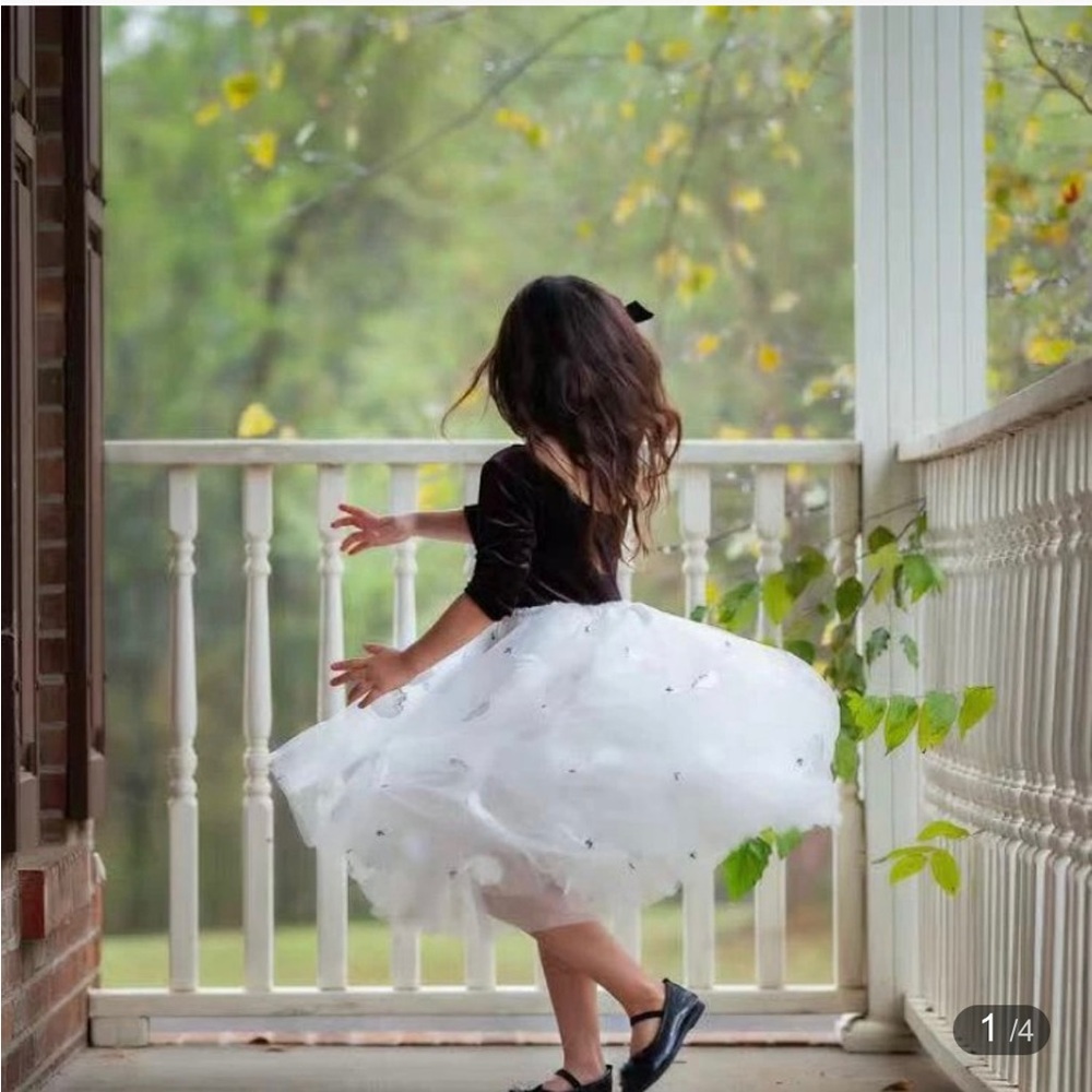 The Swan Princess Velvet Tutu Skirt